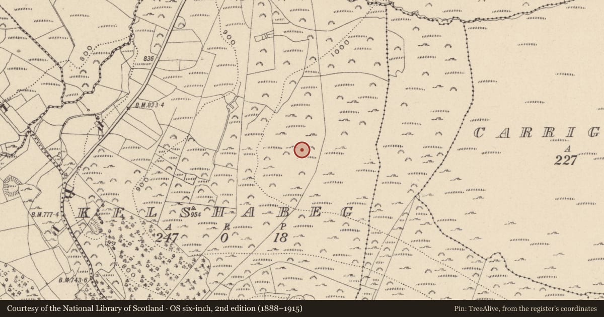 Ordnance Survey six-inch map, 2nd edition (1888–1915) covering the location of Enclosure, Kelshabeg, County Wicklow, with a pin at the register's coordinates