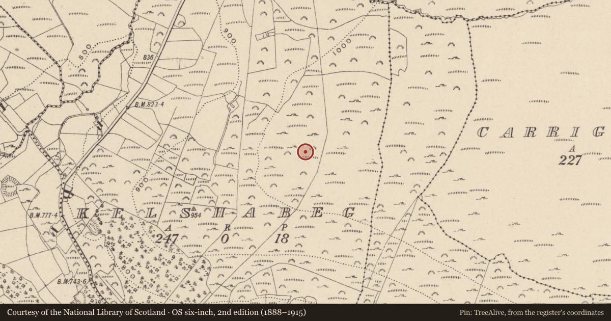Ordnance Survey six-inch map, 2nd edition (1888–1915) covering the location of Hut site, Kelshabeg, County Wicklow, with a pin at the register's coordinates