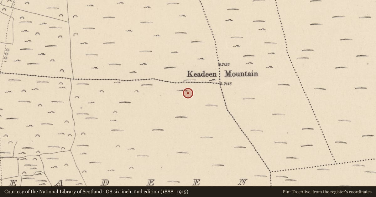 Ordnance Survey six-inch map, 2nd edition (1888–1915) covering the location of Cursus, Keadeen, County Wicklow, with a pin at the register's coordinates