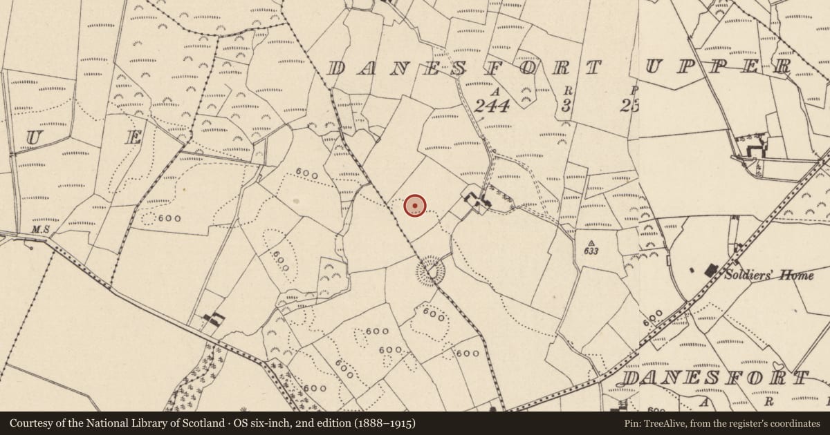 Ordnance Survey six-inch map, 2nd edition (1888–1915) covering the location of Enclosure, Danesfort Upper, County Wicklow, with a pin at the register's coordinates
