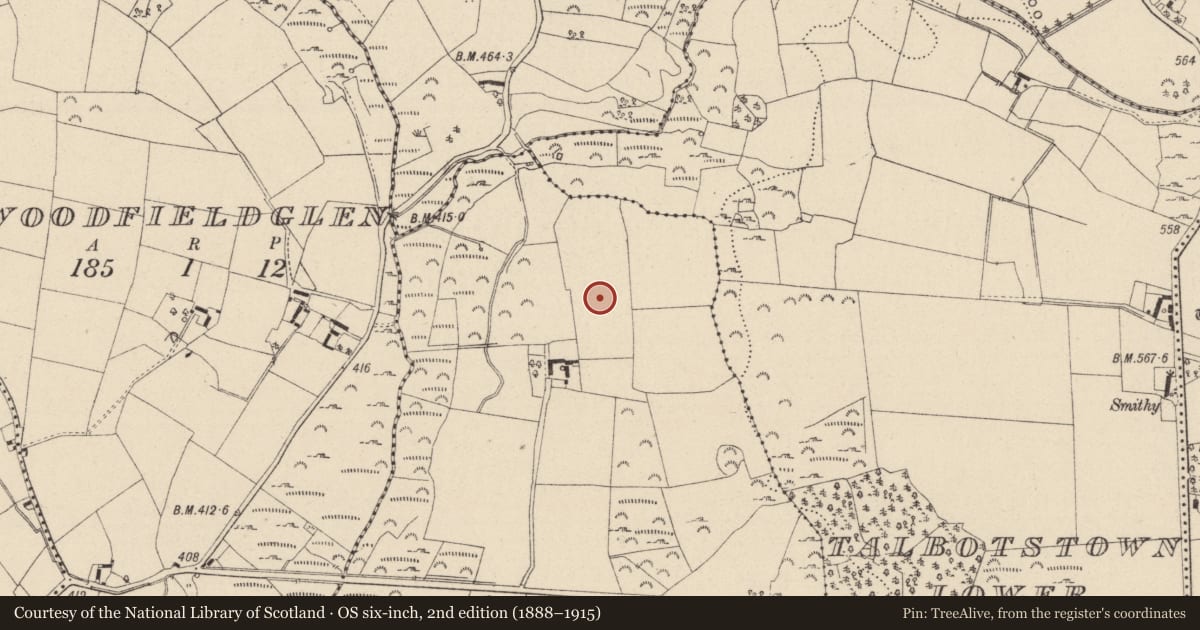 Ordnance Survey six-inch map, 2nd edition (1888–1915) covering the location of Enclosure, Englishtown, County Wicklow, with a pin at the register's coordinates