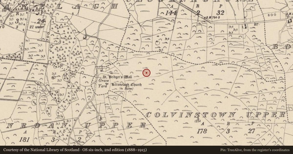Ordnance Survey six-inch map, 2nd edition (1888–1915) covering the location of Anomalous stone group, Colvinstown Upper, County Wicklow, with a pin at the register's coordinates
