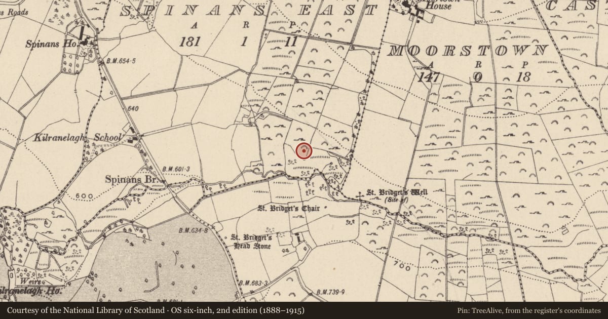 Ordnance Survey six-inch map, 2nd edition (1888–1915) covering the location of Cupmarked stone, Spinans East, County Wicklow, with a pin at the register's coordinates