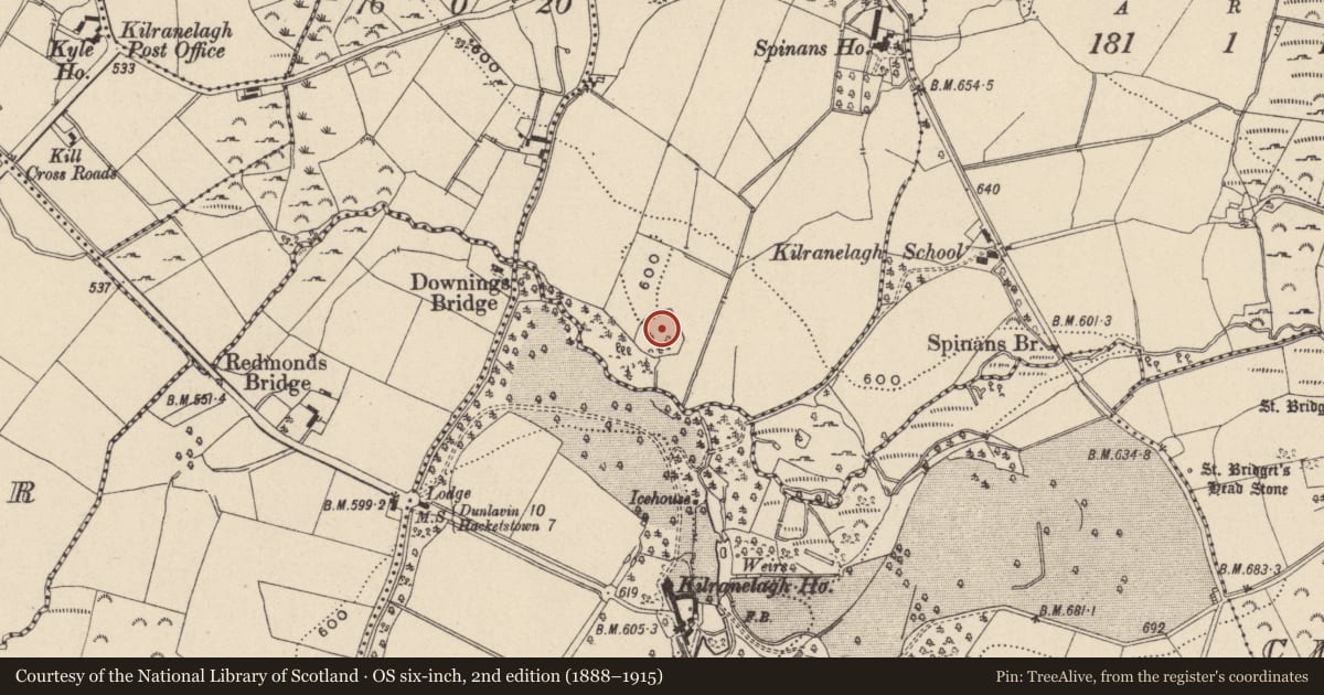 Ordnance Survey six-inch map, 2nd edition (1888–1915) covering the location of Ringfort - rath, Spinans Middle, County Wicklow, with a pin at the register's coordinates
