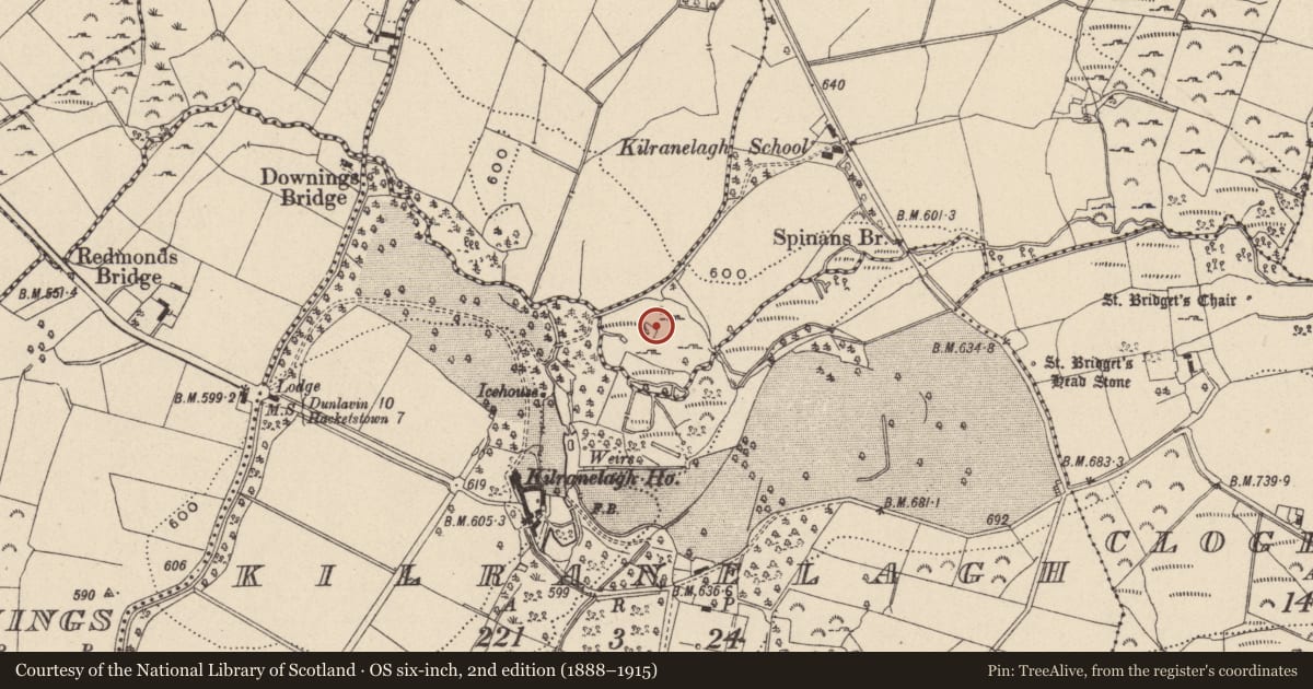 Ordnance Survey six-inch map, 2nd edition (1888–1915) covering the location of Mound, Spinans East, County Wicklow, with a pin at the register's coordinates