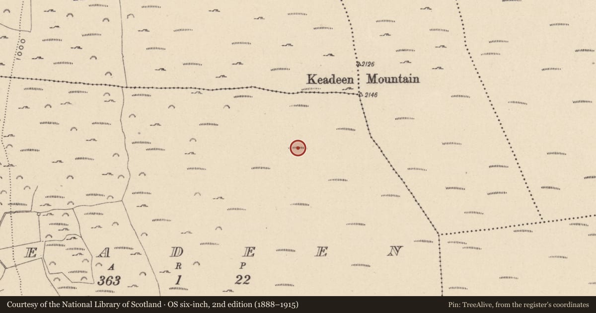 Ordnance Survey six-inch map, 2nd edition (1888–1915) covering the location of Hut site, Keadeen, County Wicklow, with a pin at the register's coordinates