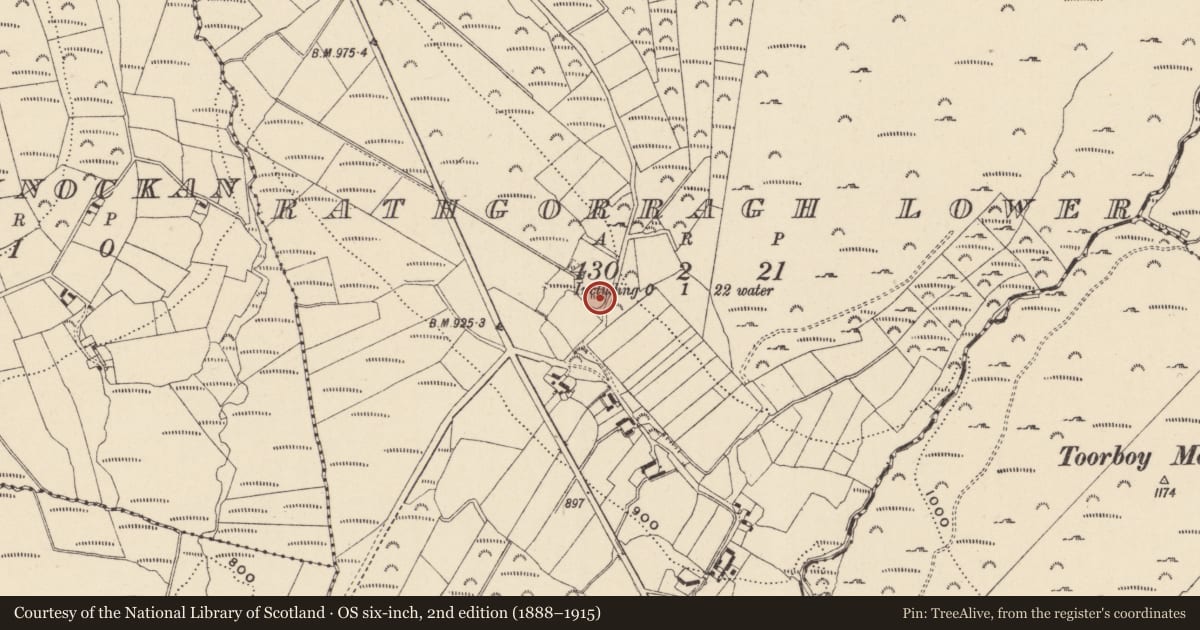 Ordnance Survey six-inch map, 2nd edition (1888–1915) covering the location of Ringfort - rath, Rathgorragh Lower, County Wicklow, with a pin at the register's coordinates