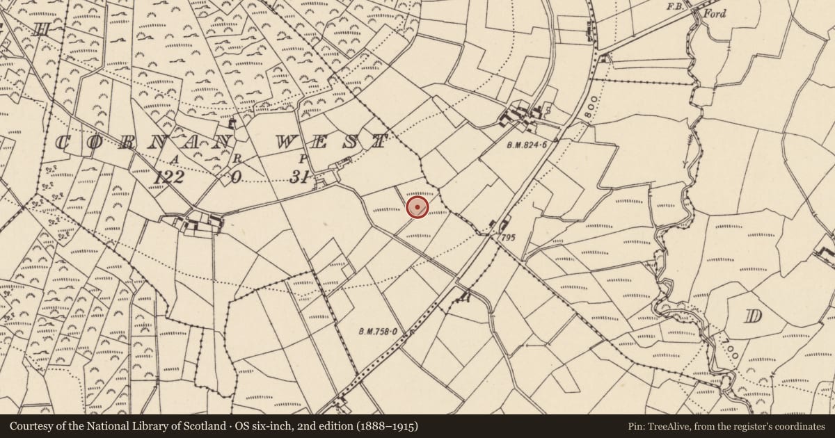 Ordnance Survey six-inch map, 2nd edition (1888–1915) covering the location of Enclosure, Cornan West, County Wicklow, with a pin at the register's coordinates