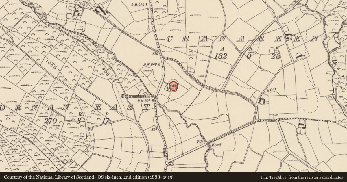 Ordnance Survey six-inch map, 2nd edition (1888–1915) covering the location of Graveyard, Slievereagh Lower, County Wicklow, with a pin at the register's coordinates