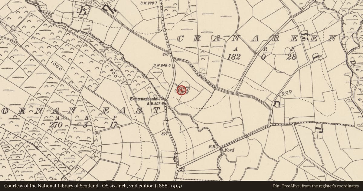 Ordnance Survey six-inch map, 2nd edition (1888–1915) covering the location of Font, Slievereagh Lower, County Wicklow, with a pin at the register's coordinates