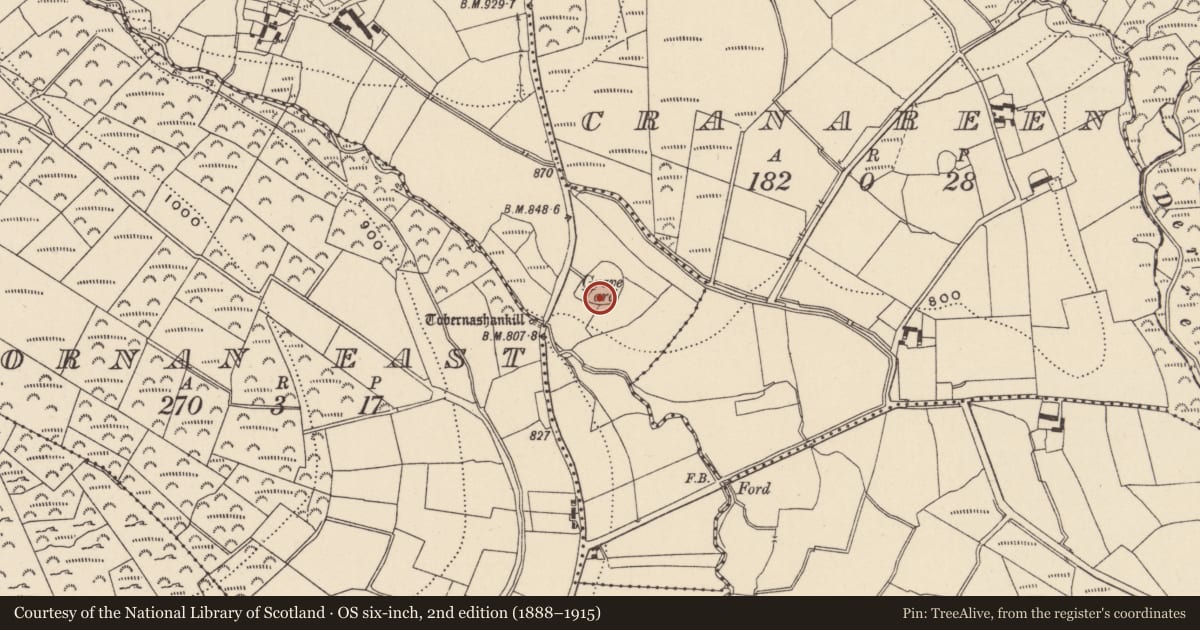 Ordnance Survey six-inch map, 2nd edition (1888–1915) covering the location of Cross, Slievereagh Lower, County Wicklow, with a pin at the register's coordinates