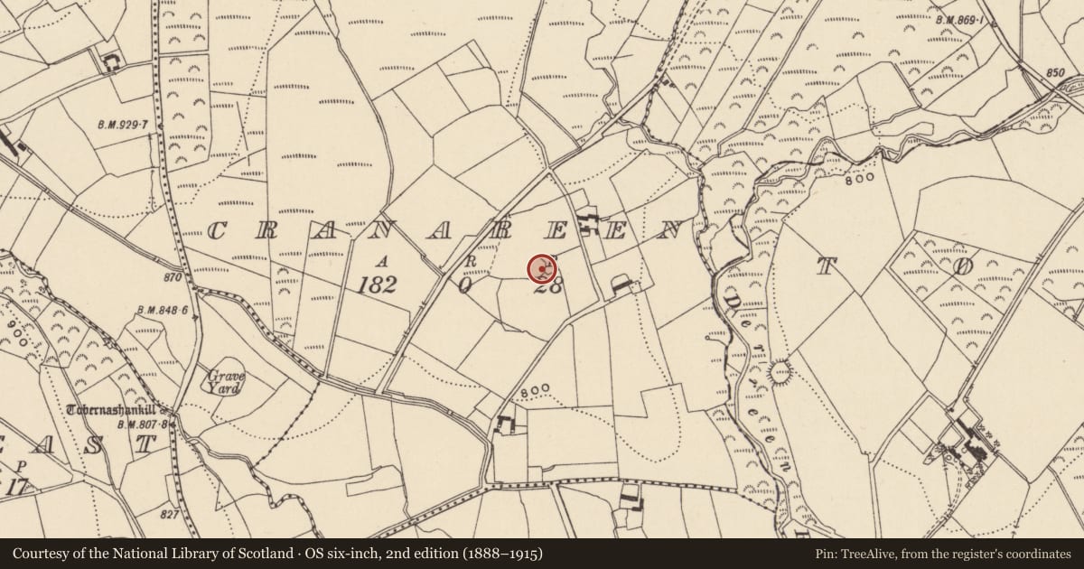 Ordnance Survey six-inch map, 2nd edition (1888–1915) covering the location of Enclosure, Cranareen, County Wicklow, with a pin at the register's coordinates