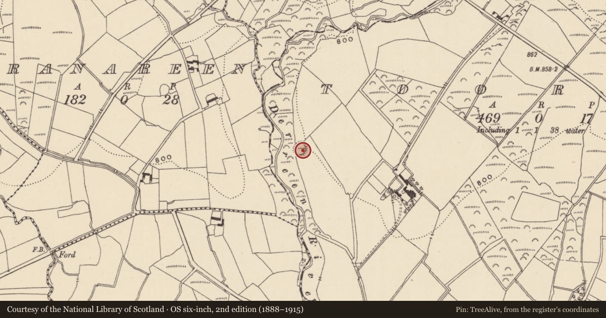 Ordnance Survey six-inch map, 2nd edition (1888–1915) covering the location of Ringfort - rath, Toorboy, County Wicklow, with a pin at the register's coordinates