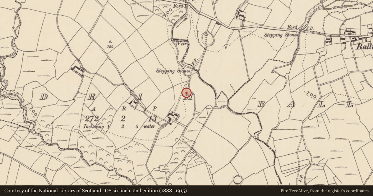 Ordnance Survey six-inch map, 2nd edition (1888–1915) covering the location of Enclosure, Drim, County Wicklow, with a pin at the register's coordinates