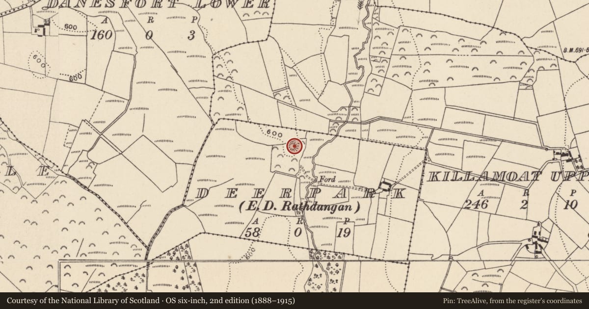 Ordnance Survey six-inch map, 2nd edition (1888–1915) covering the location of Castle - motte, Deerpark, County Wicklow, with a pin at the register's coordinates