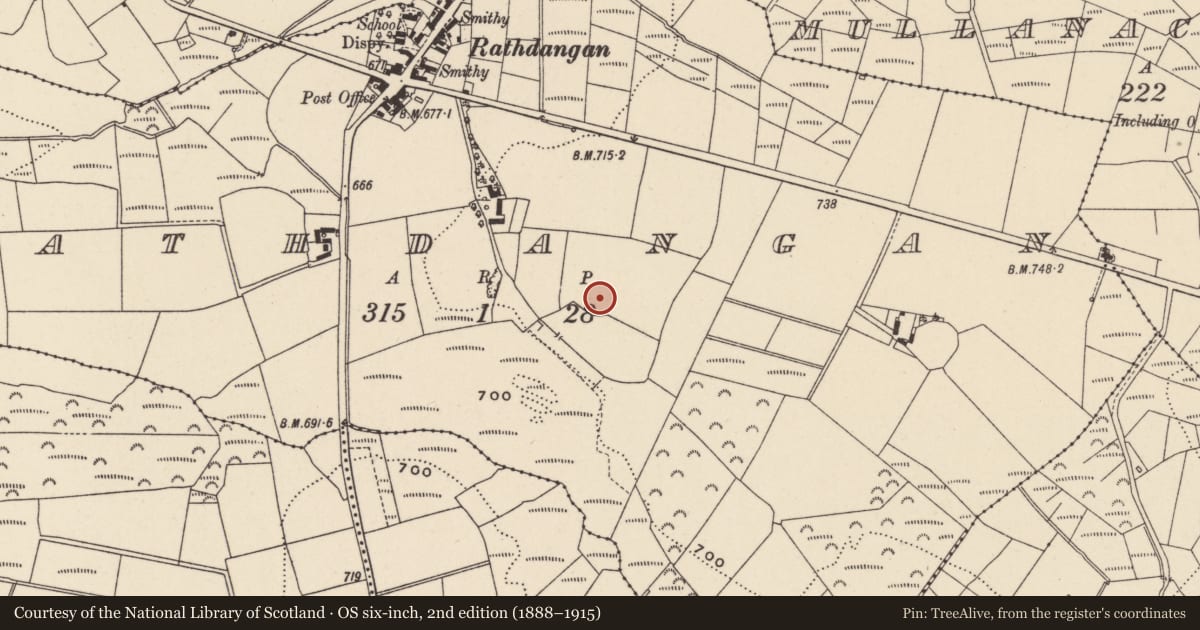 Ordnance Survey six-inch map, 2nd edition (1888–1915) covering the location of Ringfort - unclassified, Rathdangan, County Wicklow, with a pin at the register's coordinates