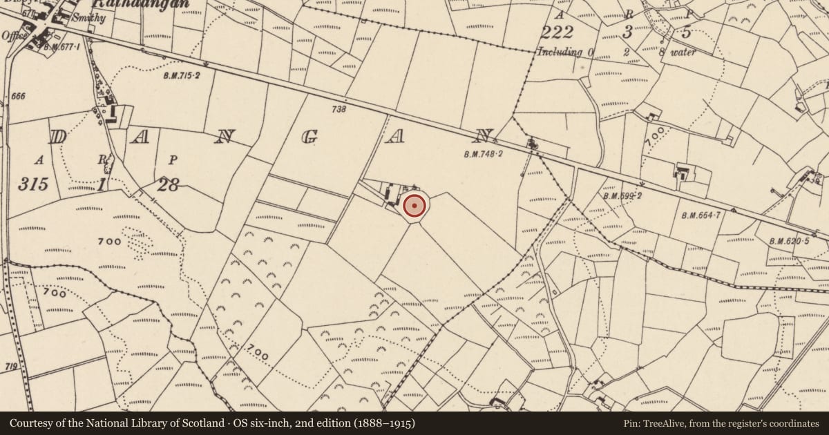 Ordnance Survey six-inch map, 2nd edition (1888–1915) covering the location of Ringfort - rath, Rathdangan, County Wicklow, with a pin at the register's coordinates