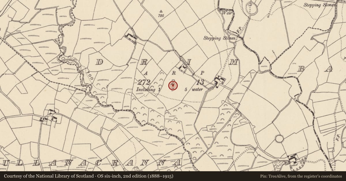 Ordnance Survey six-inch map, 2nd edition (1888–1915) covering the location of Enclosure, Drim, County Wicklow, with a pin at the register's coordinates