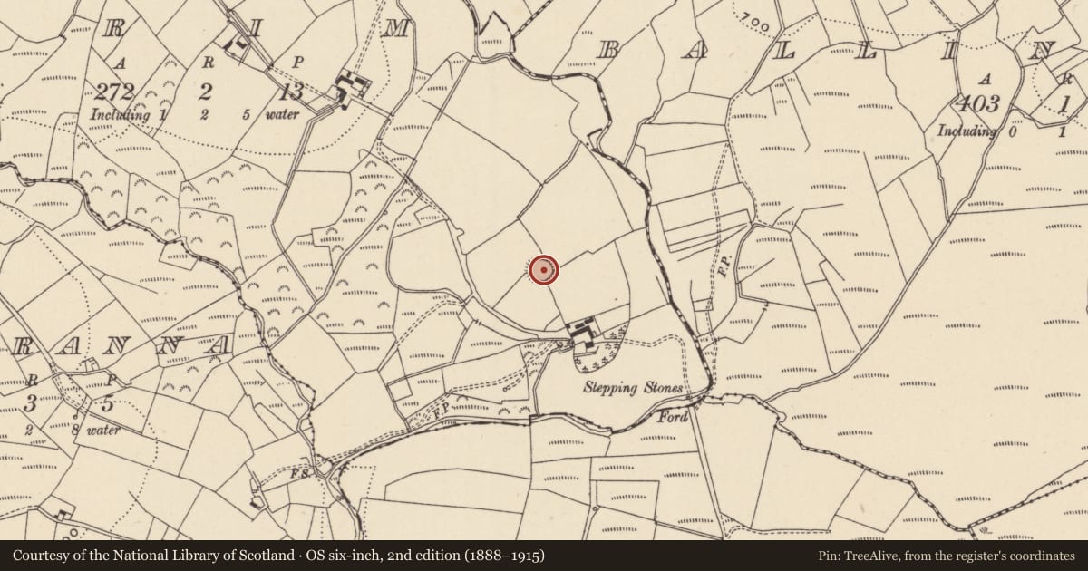 Ordnance Survey six-inch map, 2nd edition (1888–1915) covering the location of Ringfort - rath, Drim, County Wicklow, with a pin at the register's coordinates