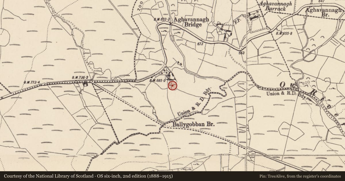 Ordnance Survey six-inch map, 2nd edition (1888–1915) covering the location of Ringfort - rath, Aghavannagh (Revell), County Wicklow, with a pin at the register's coordinates