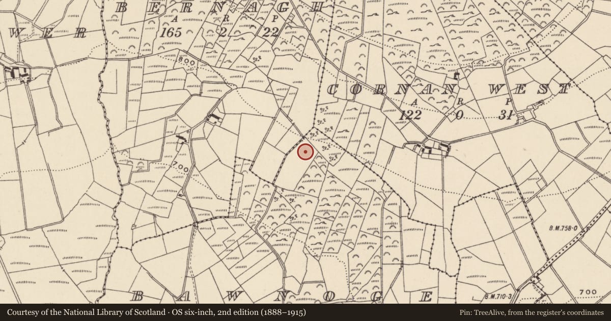 Ordnance Survey six-inch map, 2nd edition (1888–1915) covering the location of Enclosure, Bawnoge, County Wicklow, with a pin at the register's coordinates