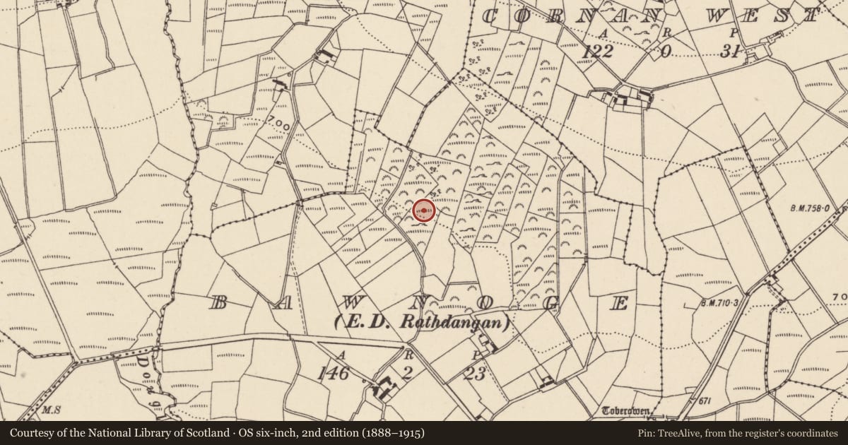 Ordnance Survey six-inch map, 2nd edition (1888–1915) covering the location of Enclosure, Bawnoge, County Wicklow, with a pin at the register's coordinates