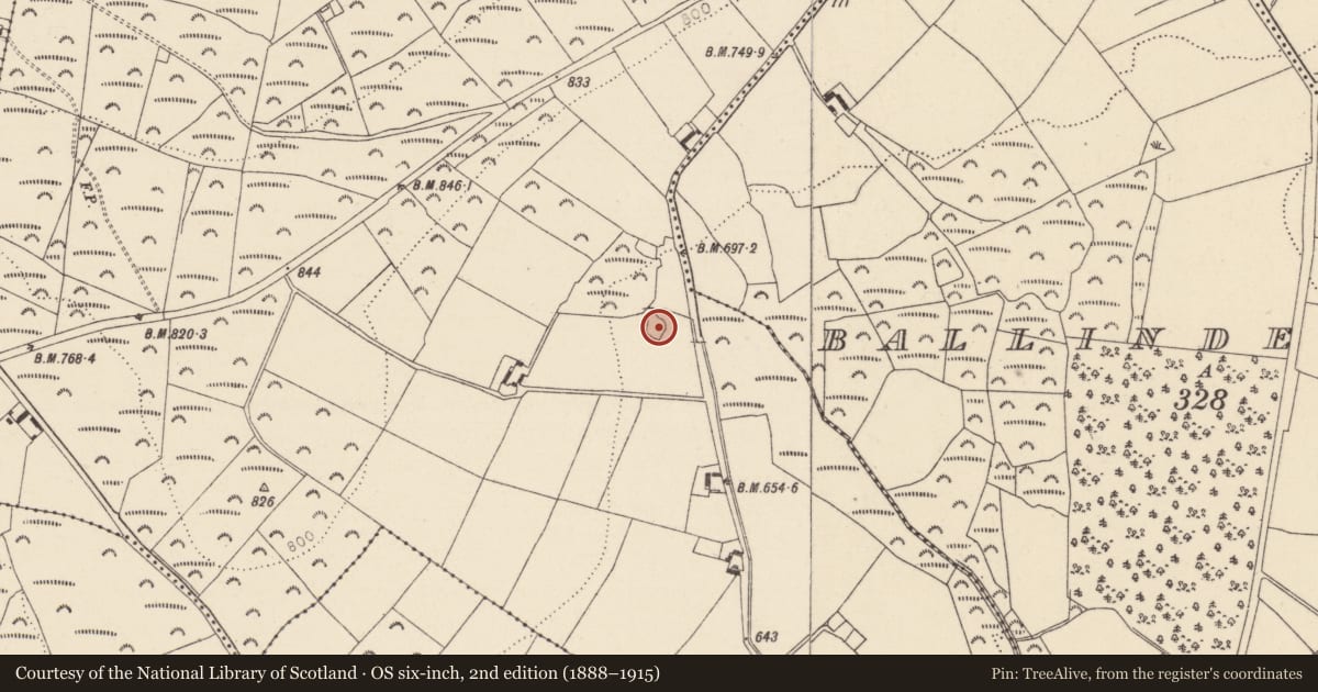 Ordnance Survey six-inch map, 2nd edition (1888–1915) covering the location of Ringfort - rath, Ballintombay Upper, County Wicklow, with a pin at the register's coordinates