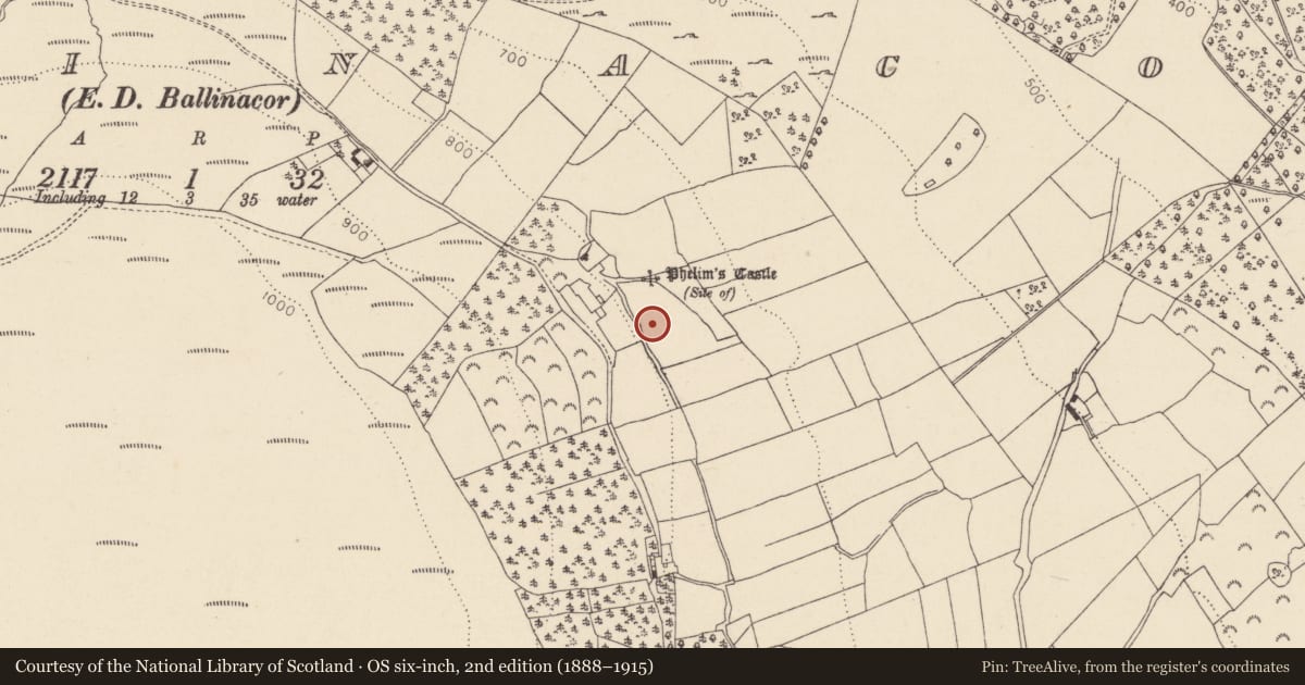 Ordnance Survey six-inch map, 2nd edition (1888–1915) covering the location of Castle - tower house, Ballinacor, County Wicklow, with a pin at the register's coordinates