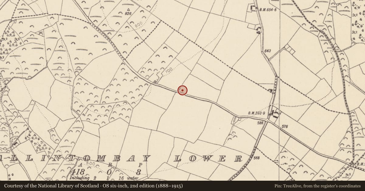 Ordnance Survey six-inch map, 2nd edition (1888–1915) covering the location of Bullaun stone, Ballintombay Lower, County Wicklow, with a pin at the register's coordinates