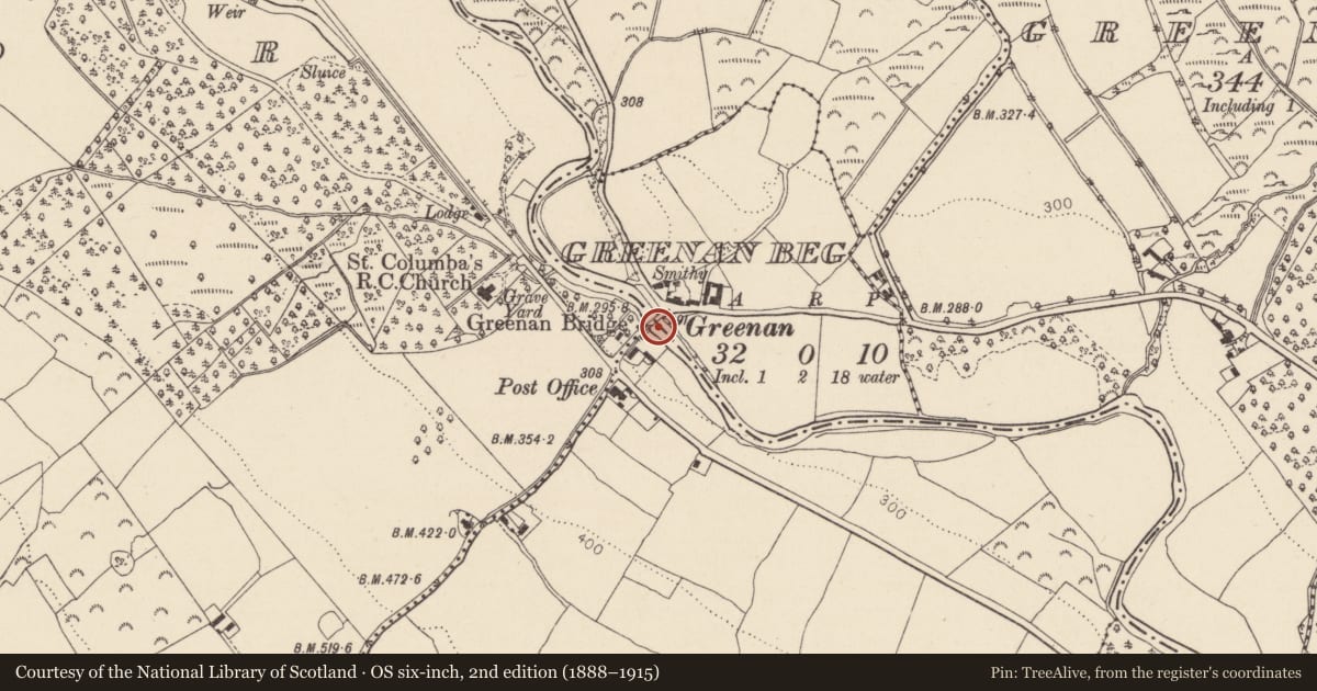 Ordnance Survey six-inch map, 2nd edition (1888–1915) covering the location of Bridge, Greenan Beg, County Wicklow, with a pin at the register's coordinates