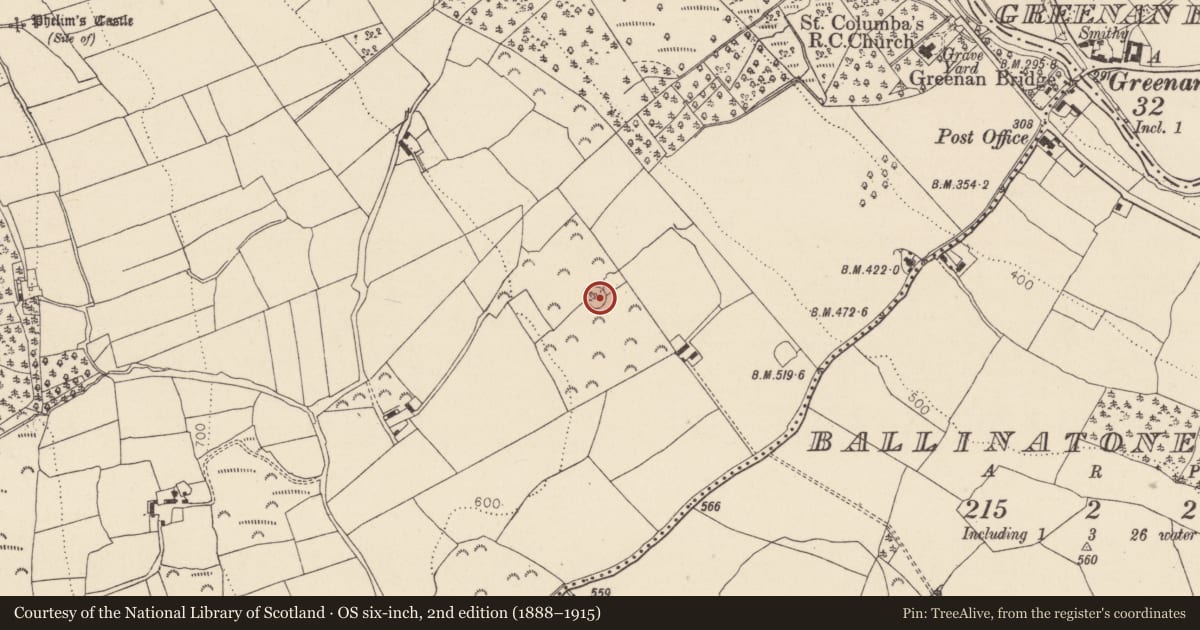 Ordnance Survey six-inch map, 2nd edition (1888–1915) covering the location of Ringfort - rath, Ballinacor, County Wicklow, with a pin at the register's coordinates