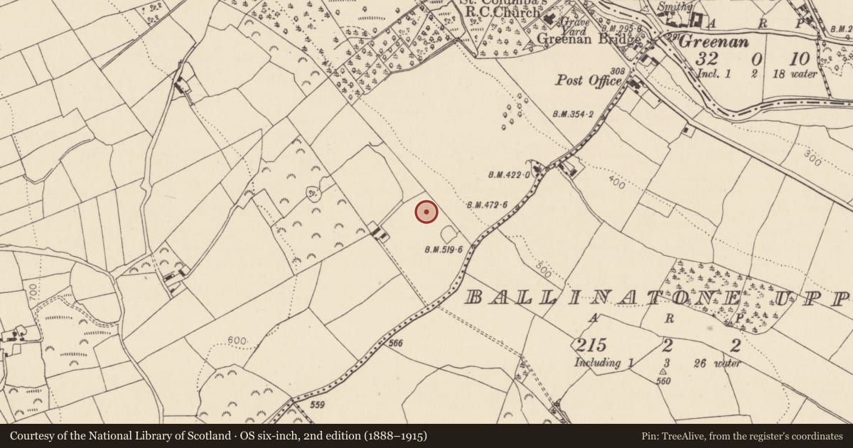 Ordnance Survey six-inch map, 2nd edition (1888–1915) covering the location of Ringfort - rath, Ballinacor, County Wicklow, with a pin at the register's coordinates