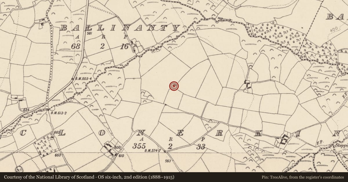 Ordnance Survey six-inch map, 2nd edition (1888–1915) covering the location of Ringfort - rath, Clonerkin, County Wicklow, with a pin at the register's coordinates