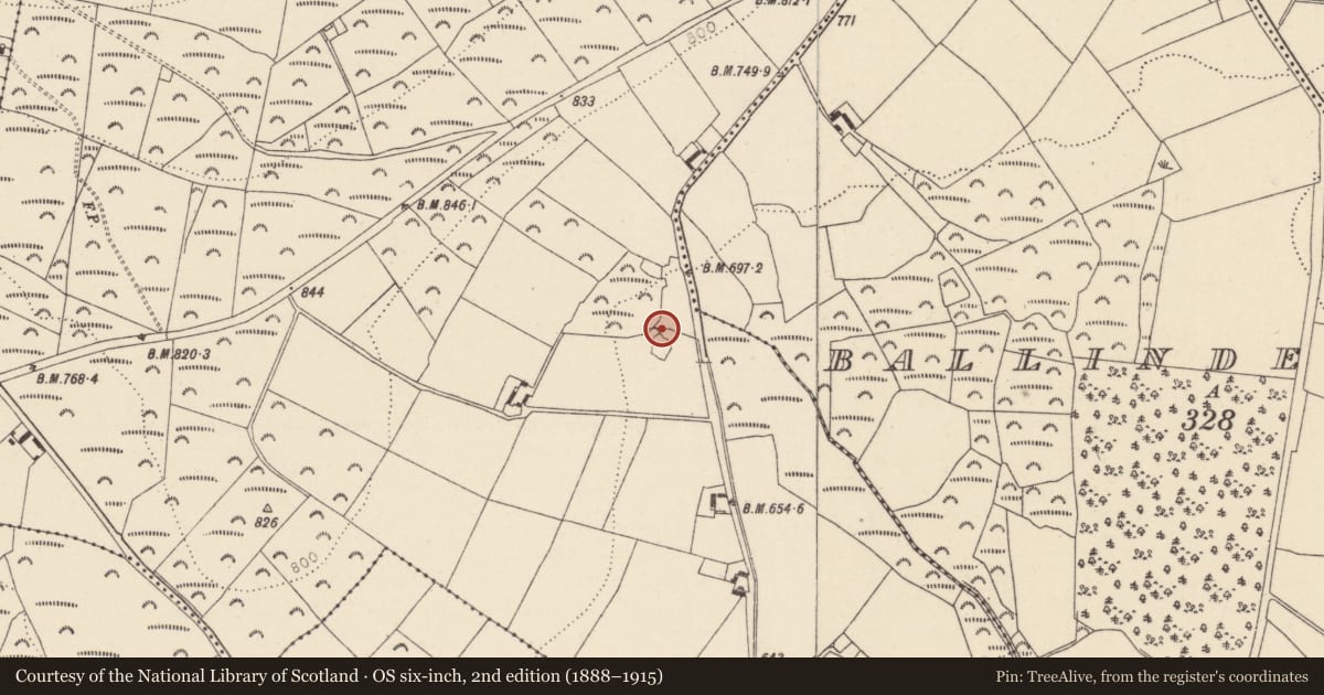 Ordnance Survey six-inch map, 2nd edition (1888–1915) covering the location of Bullaun stone, Ballintombay Upper, County Wicklow, with a pin at the register's coordinates