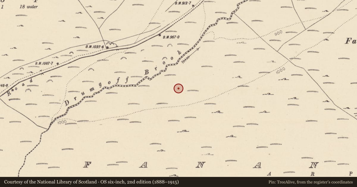 Ordnance Survey six-inch map, 2nd edition (1888–1915) covering the location of Enclosure, Fananierin, County Wicklow, with a pin at the register's coordinates