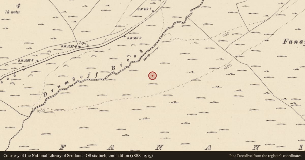 Ordnance Survey six-inch map, 2nd edition (1888–1915) covering the location of Enclosure, Fananierin, County Wicklow, with a pin at the register's coordinates
