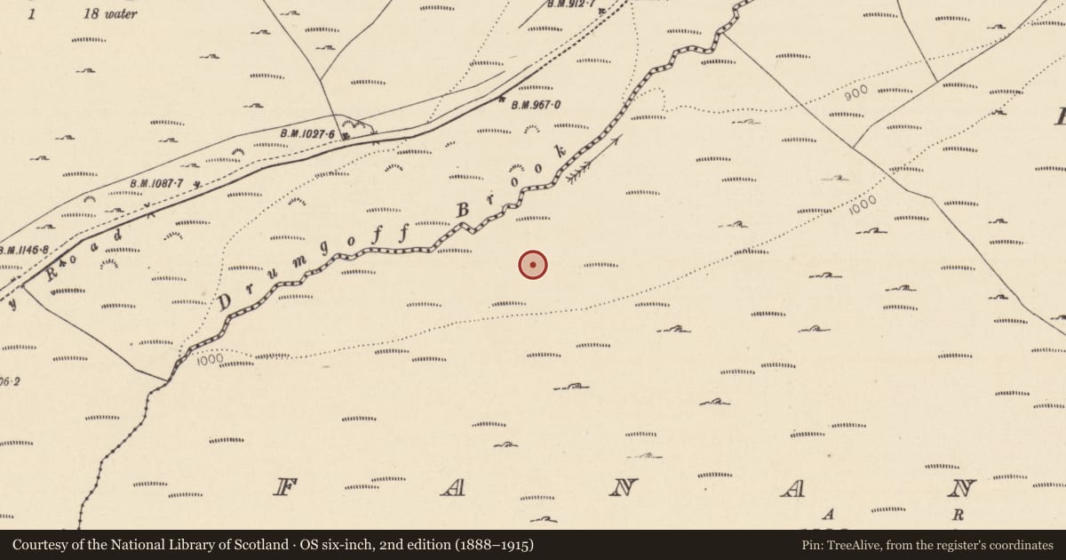 Ordnance Survey six-inch map, 2nd edition (1888–1915) covering the location of Hut site, Fananierin, County Wicklow, with a pin at the register's coordinates