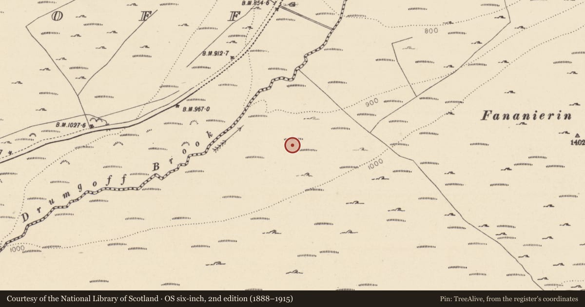 Ordnance Survey six-inch map, 2nd edition (1888–1915) covering the location of Rock art, Fananierin, County Wicklow, with a pin at the register's coordinates