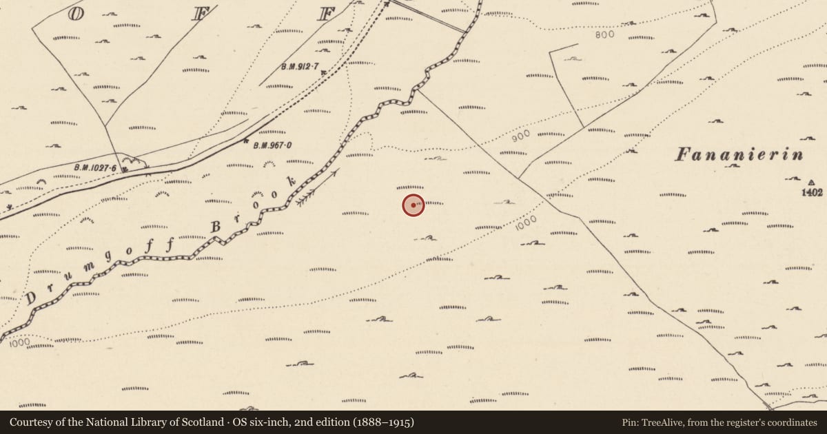 Ordnance Survey six-inch map, 2nd edition (1888–1915) covering the location of Hut site, Fananierin, County Wicklow, with a pin at the register's coordinates
