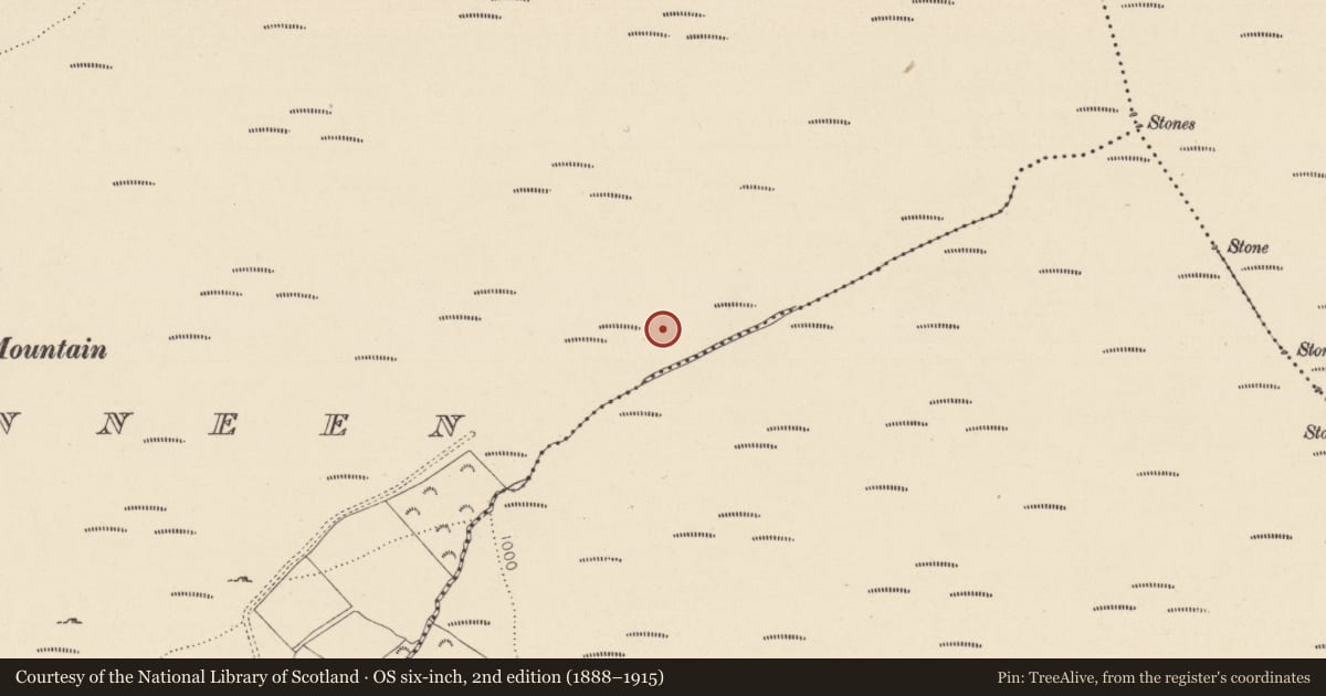 Ordnance Survey six-inch map, 2nd edition (1888–1915) covering the location of Cairn - unclassified, Carriglinneen, County Wicklow, with a pin at the register's coordinates