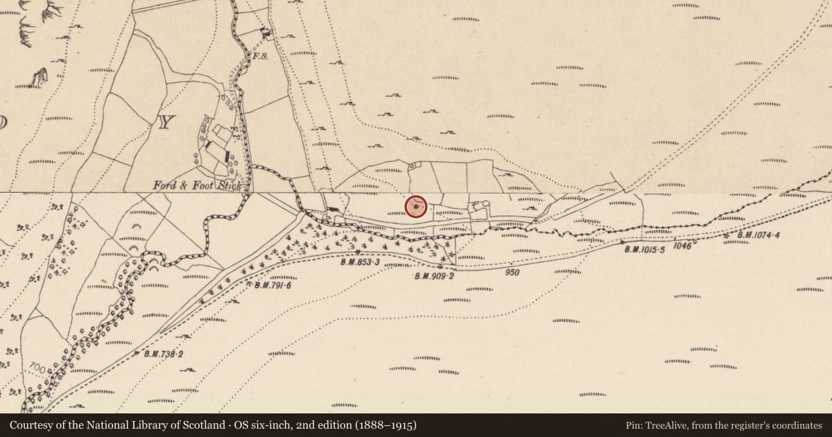 Ordnance Survey six-inch map, 2nd edition (1888–1915) covering the location of Burial, Ballybraid, County Wicklow, with a pin at the register's coordinates