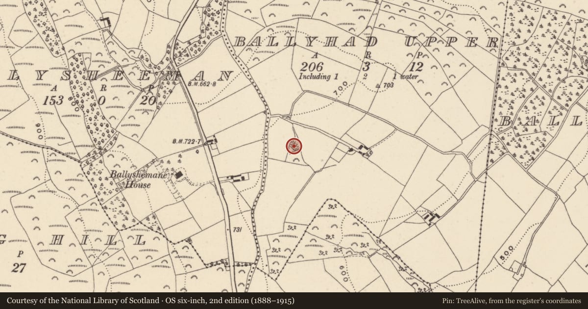 Ordnance Survey six-inch map, 2nd edition (1888–1915) covering the location of Ringfort - rath, Ballyhad Upper, County Wicklow, with a pin at the register's coordinates