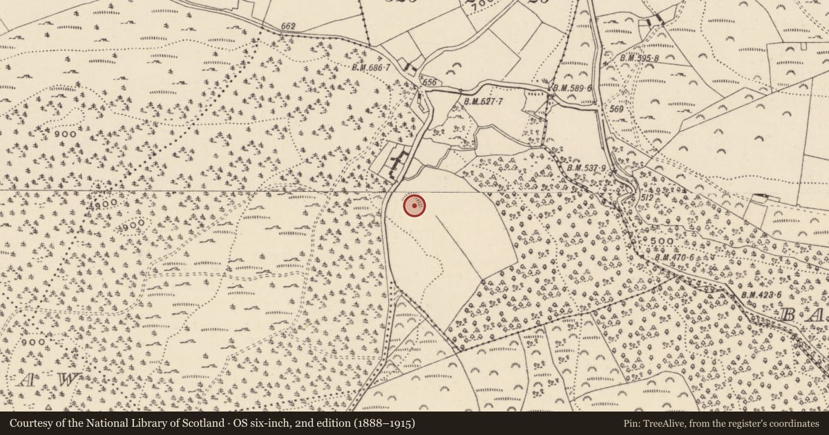 Ordnance Survey six-inch map, 2nd edition (1888–1915) covering the location of Ringfort - rath, Barnbawn, County Wicklow, with a pin at the register's coordinates