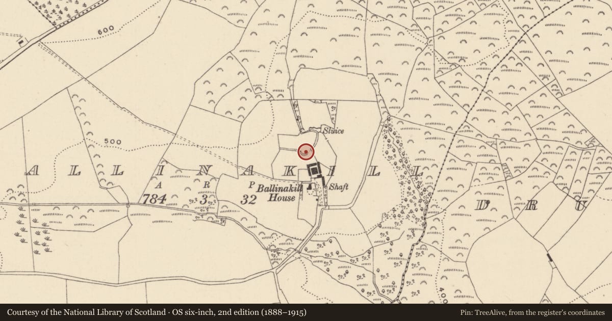 Ordnance Survey six-inch map, 2nd edition (1888–1915) covering the location of Ringfort - unclassified, Ballinakill, County Wicklow, with a pin at the register's coordinates