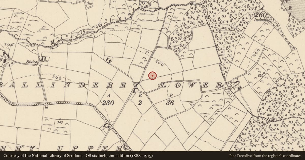 Ordnance Survey six-inch map, 2nd edition (1888–1915) covering the location of Ringfort - rath, Ballinderry Lower, County Wicklow, with a pin at the register's coordinates