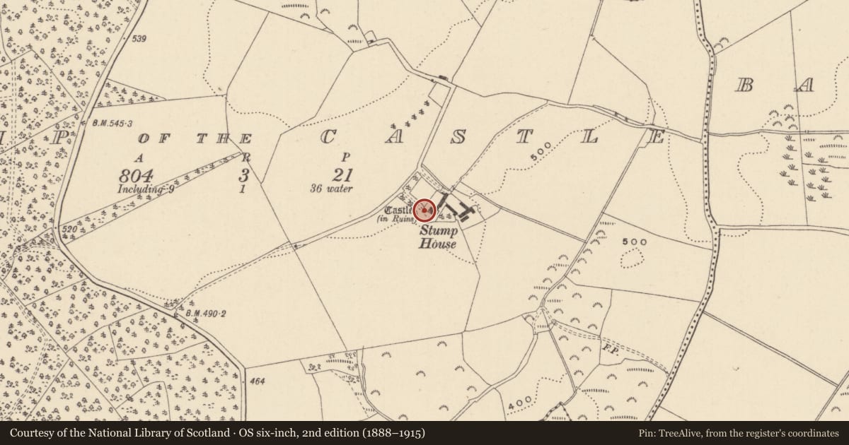 Ordnance Survey six-inch map, 2nd edition (1888–1915) covering the location of Castle - tower house, Stump of The Castle, County Wicklow, with a pin at the register's coordinates