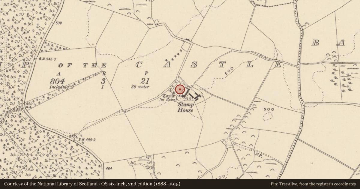 Ordnance Survey six-inch map, 2nd edition (1888–1915) covering the location of Moated site, Stump of The Castle, County Wicklow, with a pin at the register's coordinates