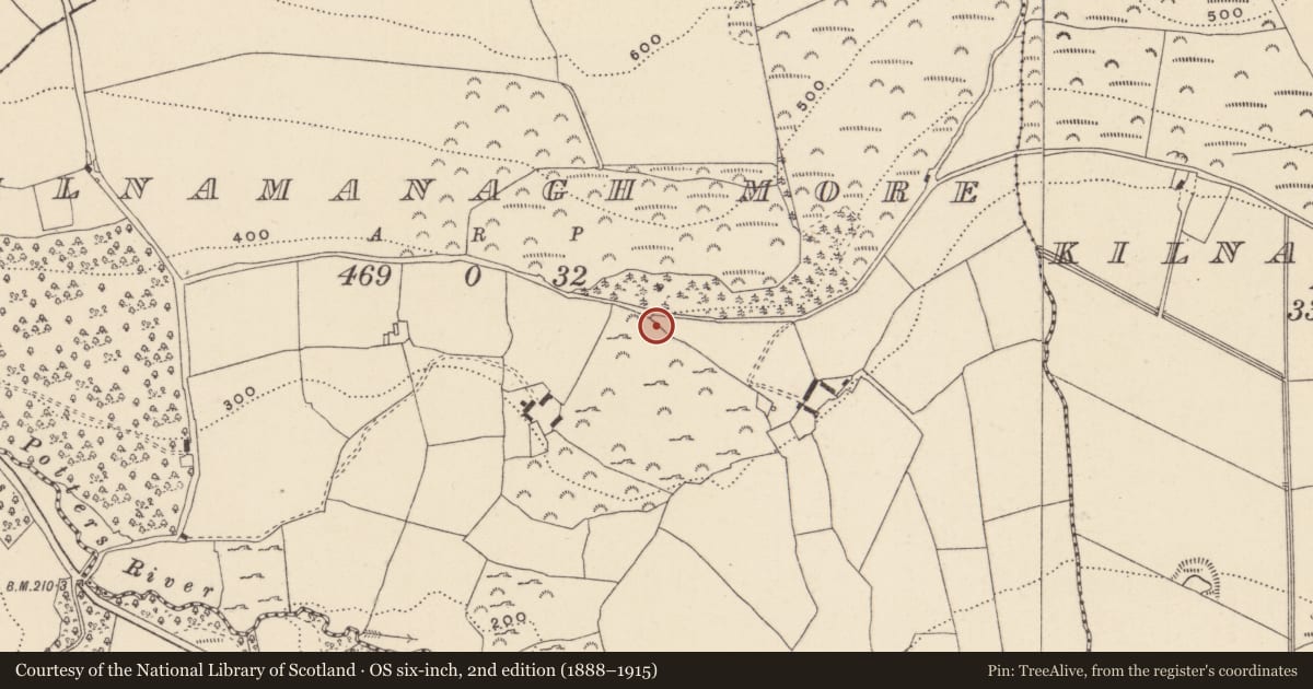 Ordnance Survey six-inch map, 2nd edition (1888–1915) covering the location of Hut site, Kilnamanagh More, County Wicklow, with a pin at the register's coordinates