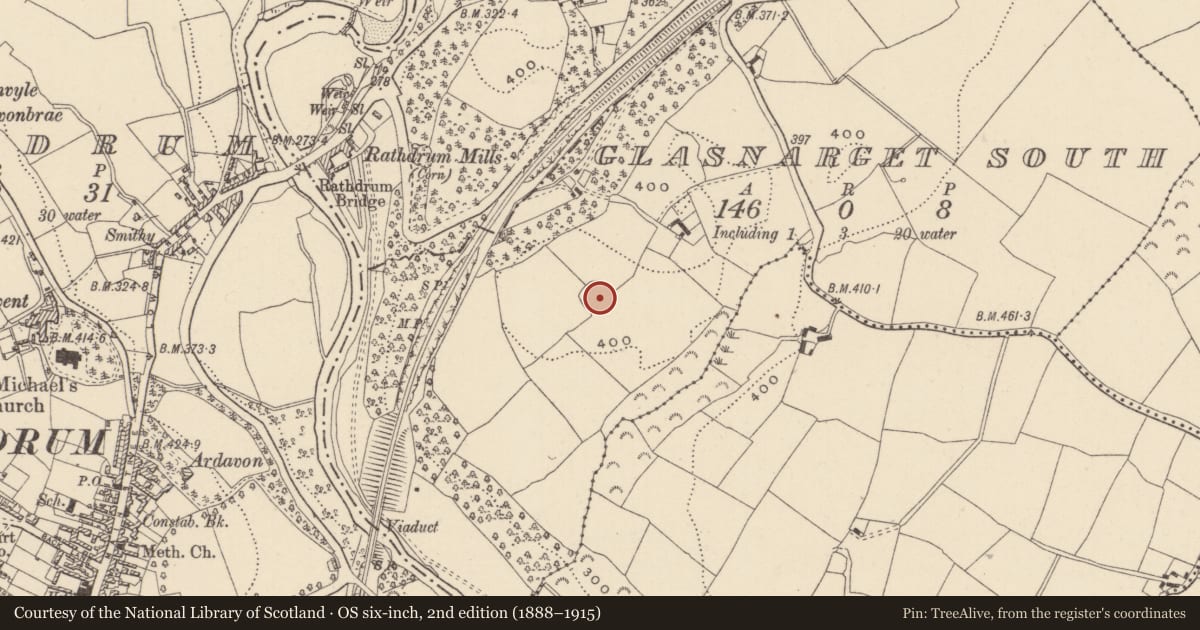 Ordnance Survey six-inch map, 2nd edition (1888–1915) covering the location of Ringfort - rath, Glasnarget South, County Wicklow, with a pin at the register's coordinates