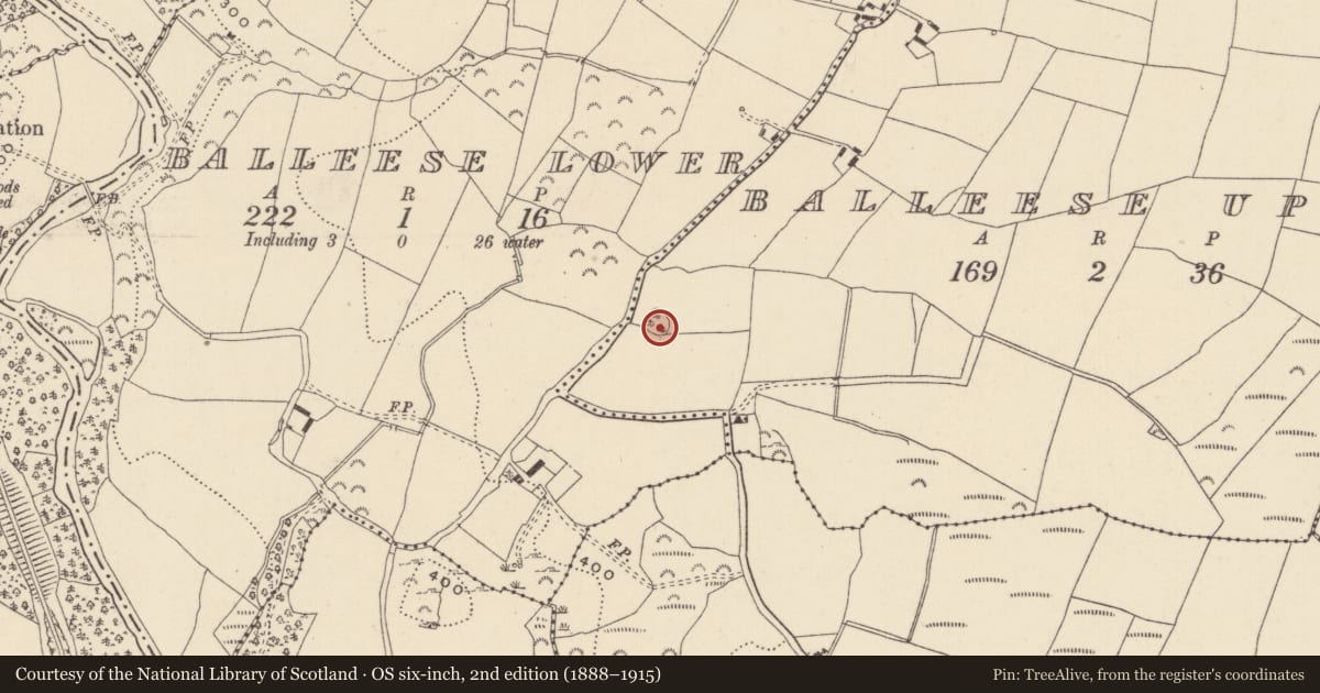 Ordnance Survey six-inch map, 2nd edition (1888–1915) covering the location of Ringfort - rath, Balleese Upper, County Wicklow, with a pin at the register's coordinates
